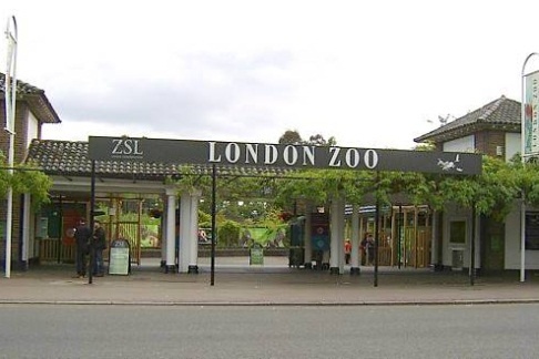 Made up in Britain: Zoo : Sir Thomas Stamford Raffles 1826